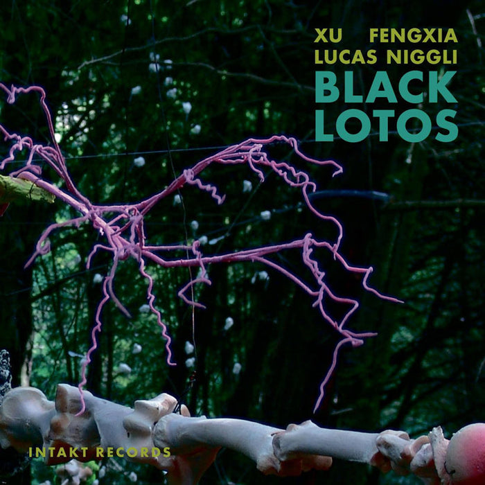 164: XU FENGXIA – LUCAS NIGGLI. Black Lotos