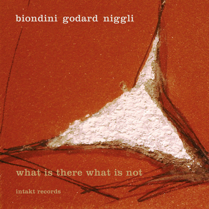 185: BIONDINI – GODARD – NIGGLI. What Is There What Is Not