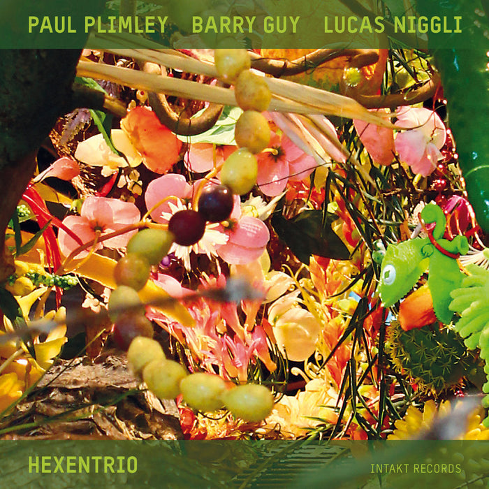 206: PAUL PLIMLEY – BARRY GUY – LUCAS NIGGLI. Hexentrio