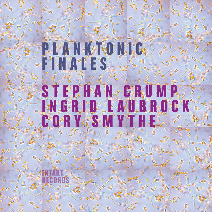 285: STEPHAN CRUMP – INGRID LAUBROCK – CORY SMYTHE. Planktonic Finales