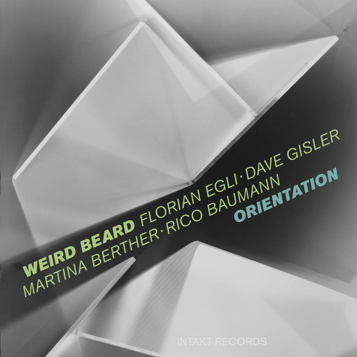 291: FLORIAN EGLI WEIRD BEARD. Orientation