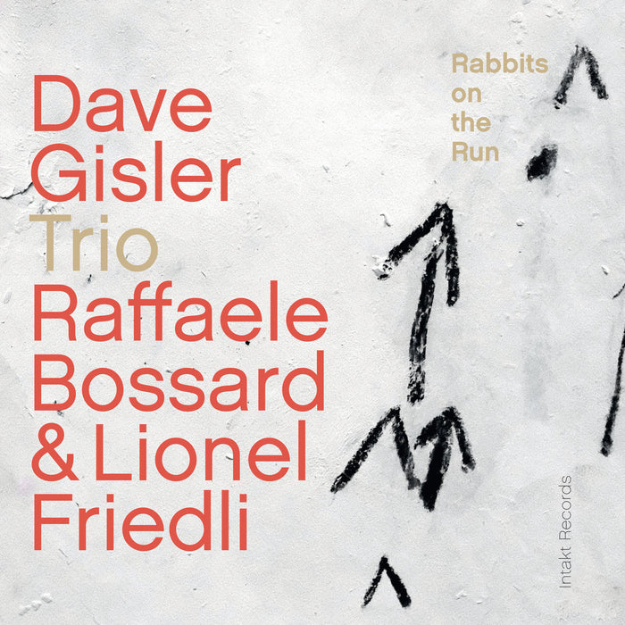 304: DAVE GISLER TRIO. Rabbits On The Run