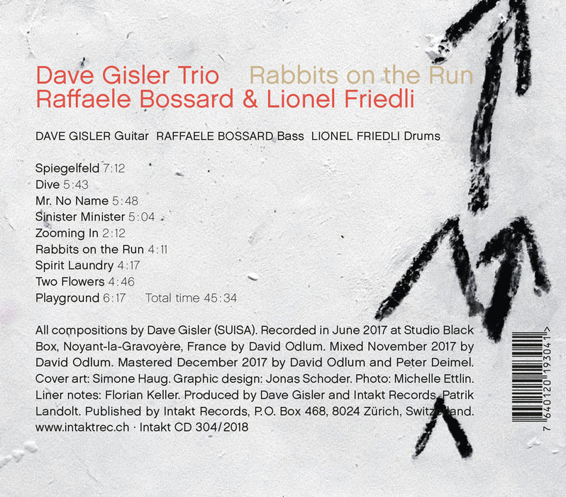 304: DAVE GISLER TRIO. Rabbits On The Run