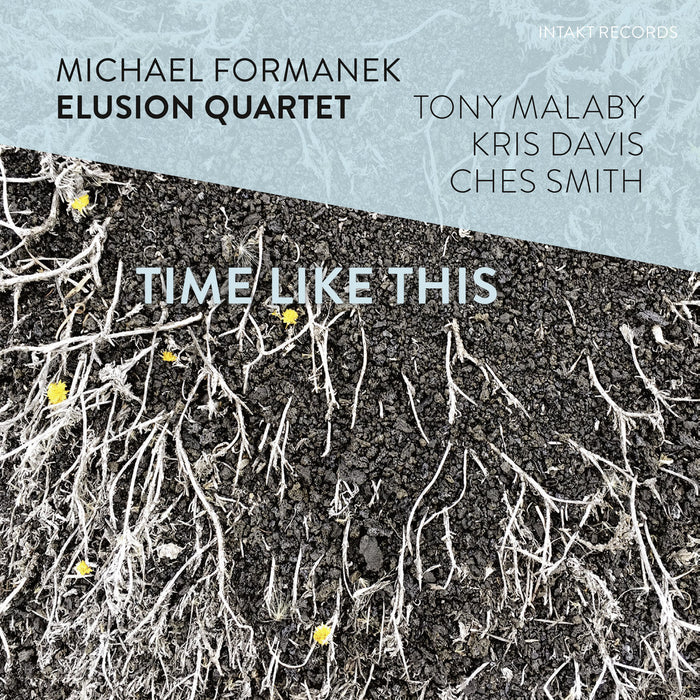 313: MICHAEL FORMANEK ELUSION QUARTET. Time Like This