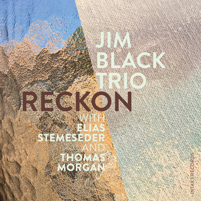 334: JIM BLACK TRIO. Reckon
