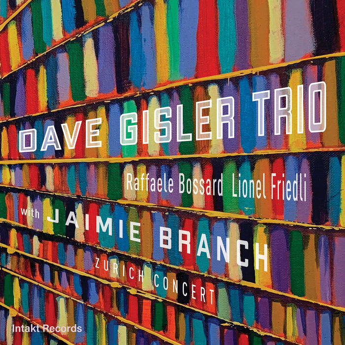 357: DAVE GISLER TRIO with JAIMIE BRANCH. Zürich Concert