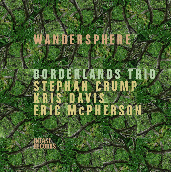 370: BORDERLANDS TRIO: STEPHAN CRUMP – KRIS DAVIS – ERIC MCPHERSON. Wandersphere (Double Album)