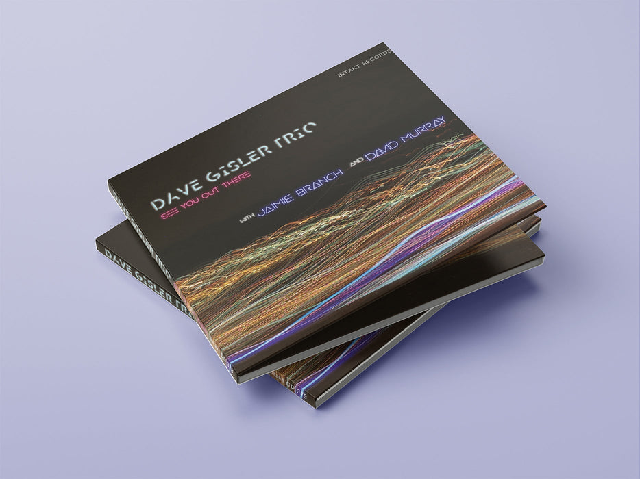 378: DAVE GISLER TRIO
with JAIMIE BRANCH and DAVID MURRAY. See You Out There