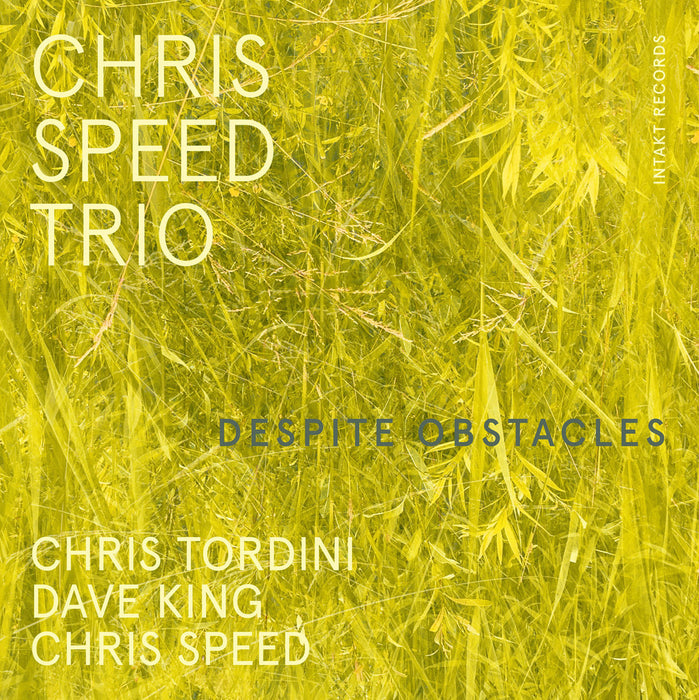 404: CHRIS SPEED TRIO. Despite Obstacles