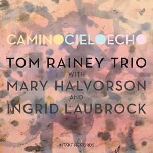 Reviews Tom Rainey Trio Feat Mary Halvorson And Ingrid Laubrock Camino Cielo Echo Intakt Cd 199