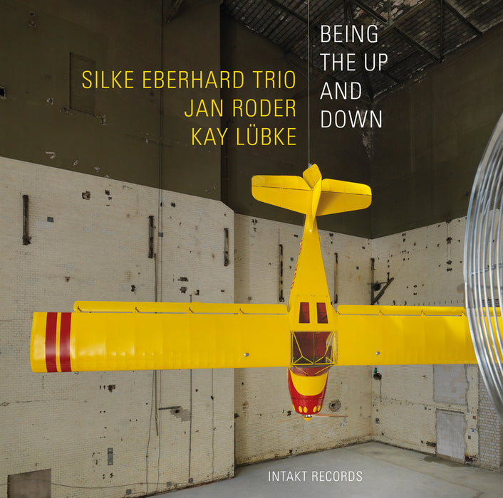 365: SILKE EBERHARD TRIO. Beeing The Up And Down