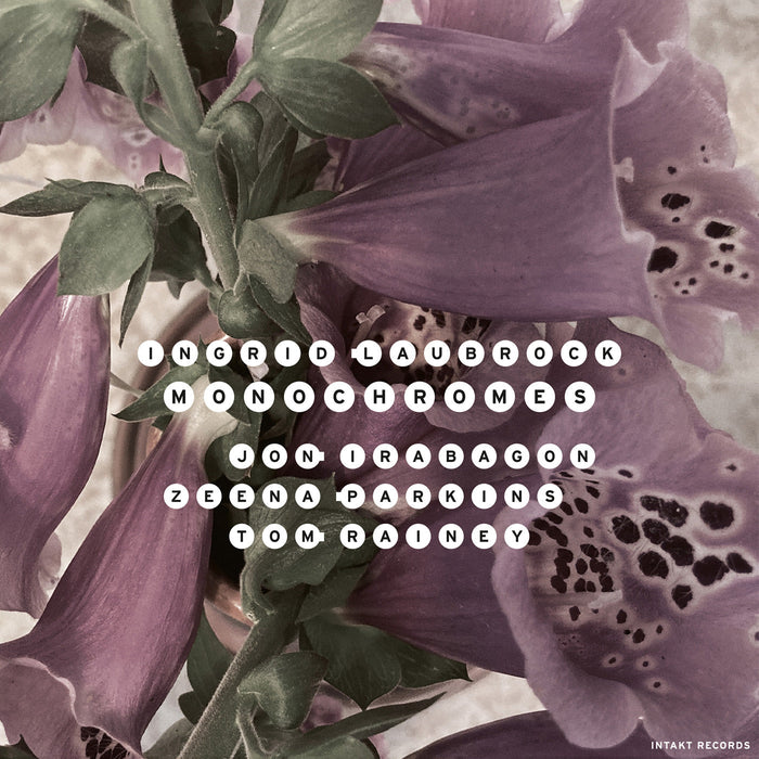 411: INGRID LAUBROCK. Monochromes