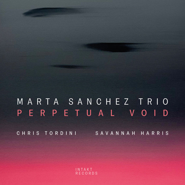 421: MARTA SANCHEZ TRIO feat. CHRIS TORDINI AND SAVANNAH HARRIS.
Perpetual Void