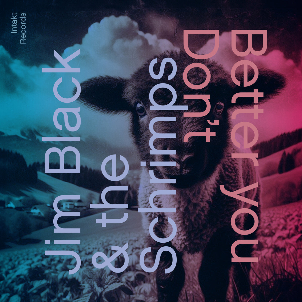Jim Black & The Schrimps. Ain't No Saint — INTAKT RECORDS