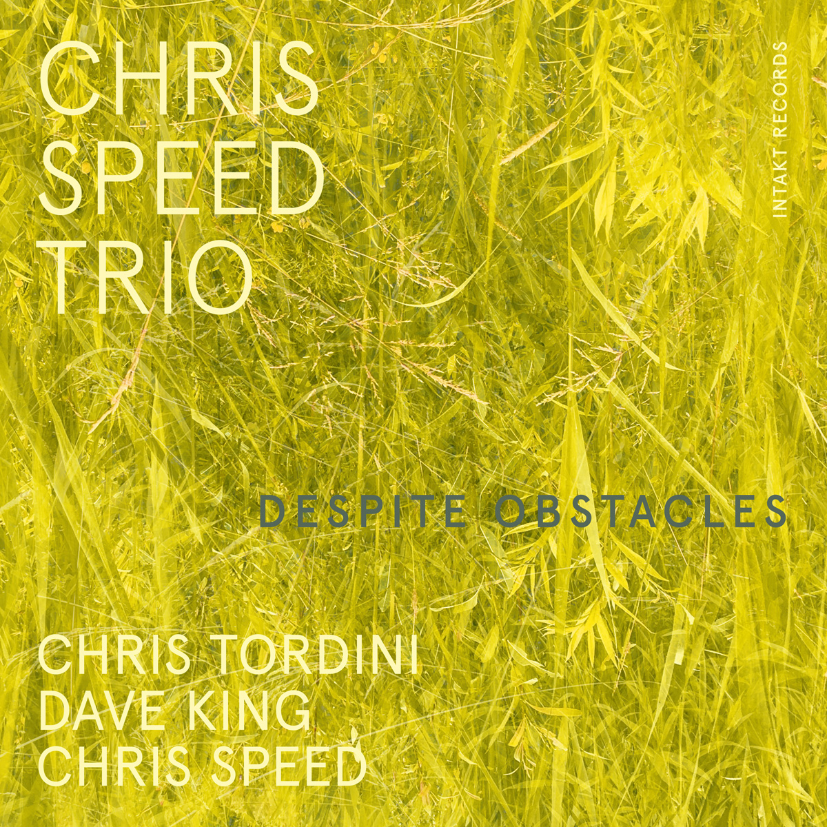 CHRIS SPEED TRIO
DESPITE OBSTACLES cover front intakt records