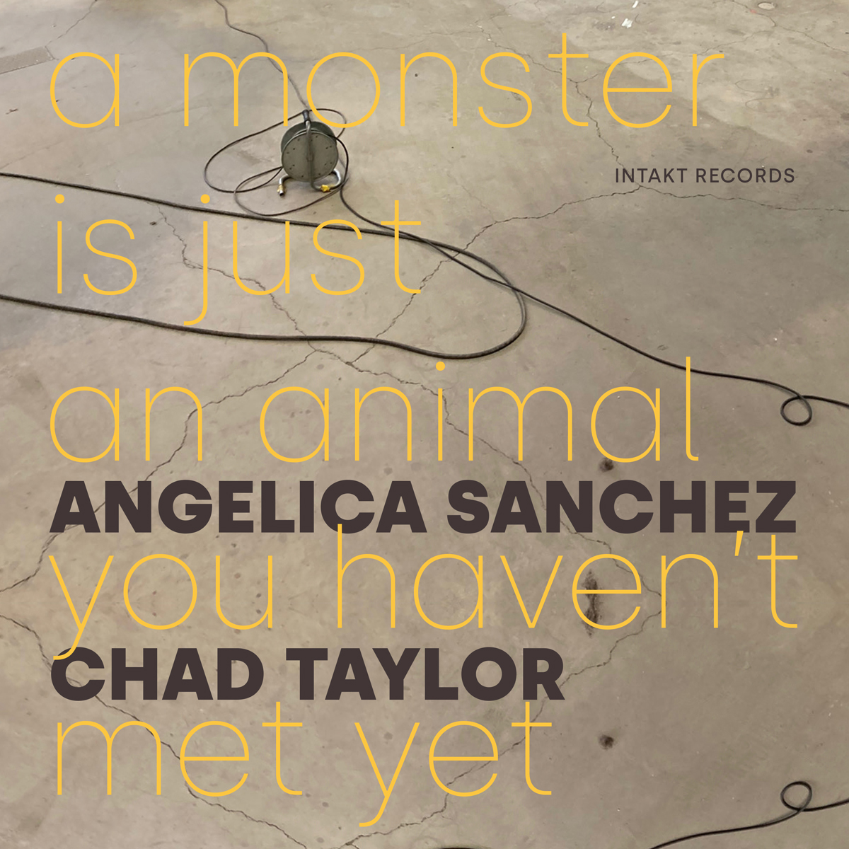 Cover Web:ANGELICA SANCHEZ – CHAD TAYLOR. A MONSTER IS JUST AN ANIMAL YOU HAVEN’T MET YET.  Intakt CD 413